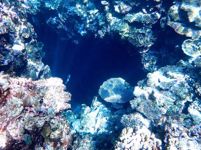 �C�̒��͕ʐ��E��_�n�[�~�b�g�N���u