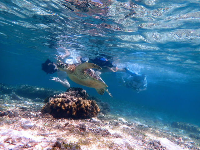 �߂���_�n�[�~�b�g�N���u