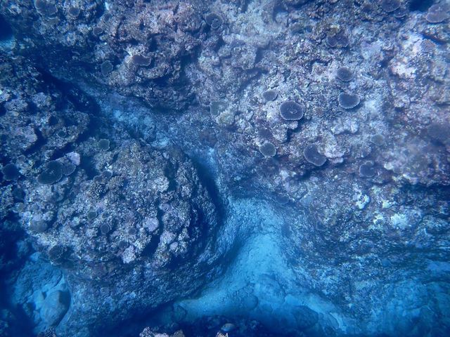 ���R�������鈳�|�I�Ȕ�����!_�n�[�~�b�g�N���u