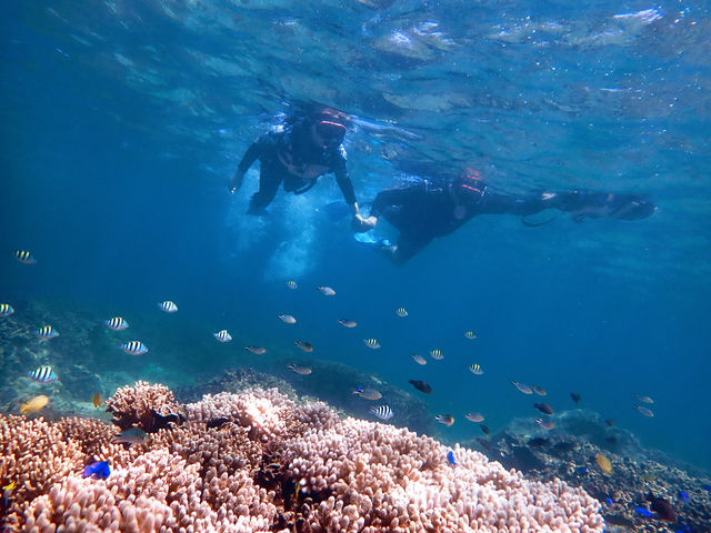 ���������_�n�[�~�b�g�N���u