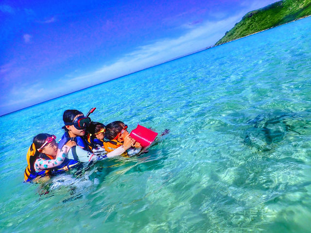 �������������[����!_�n�[�~�b�g�N���u