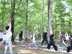 Nipa Yoga`xmR̘[ŃK`̎ʐ^1