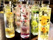 TZephyr flower̎ʐ^3