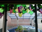 AgGDollie AgG@z[fR̎ʐ^2