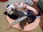 یLJtF@ʓ@˂݂Ȃ݉Ƃ̎ʐ^2