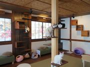 یLJtF@ʓ@˂݂Ȃ݉Ƃ̎ʐ^4