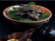 ���킷��̏h�@�����̎ʐ^4