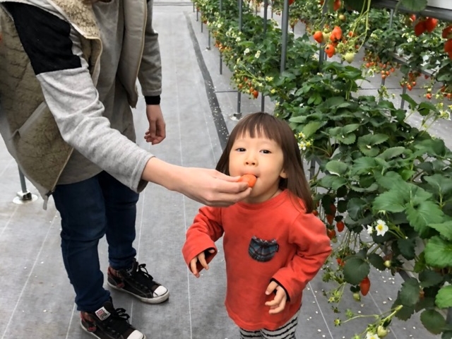 ����ӂ�[��