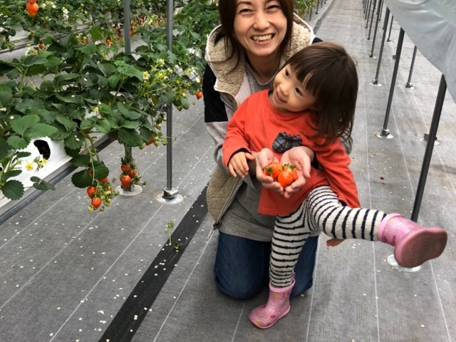 ����ӂ�[��