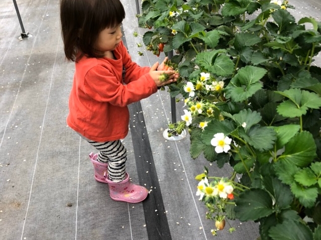 ����ӂ�[��