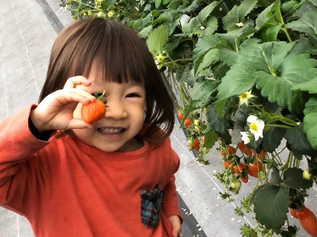 ����ӂ�[��