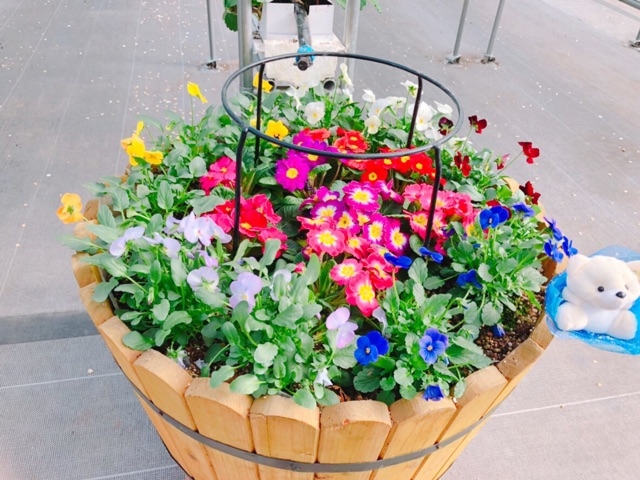 ����ӂ�[��