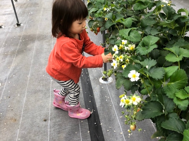 ����ӂ�[��