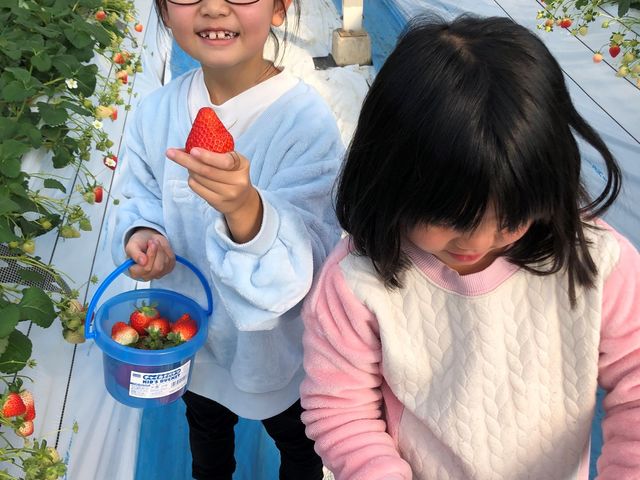 �傫���������ɂ����x( *�L䇁M)_�ł������_��