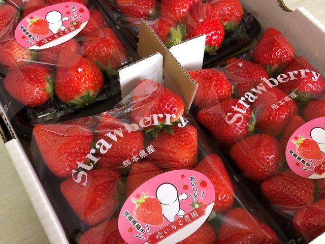 �����p�②�蕨�ɂ��Ή����Ă܂�_�ł������_��