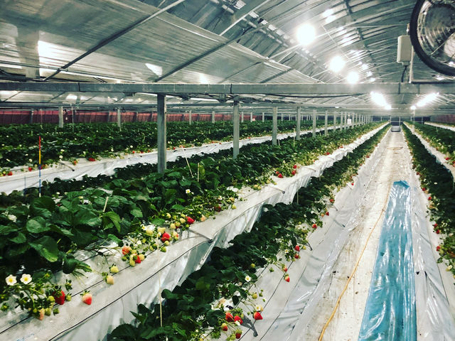 ��̂��������@�n�߂܂�(*^-^*)_�ł������_��