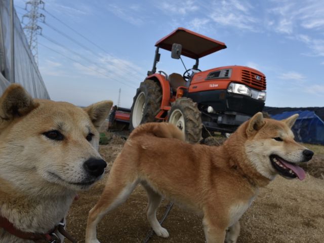 �Ŕ��@�Č��u���������@���R�����v_�ł������_��