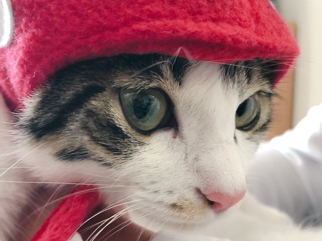 ���N����ŔL���E�E�E�H�H_�ł������_��