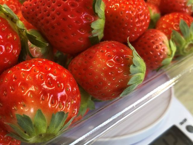 �v�����H�H���菤�i�I�H�����肢�����I700���łT�O�O�~�H�H_�ł������_��