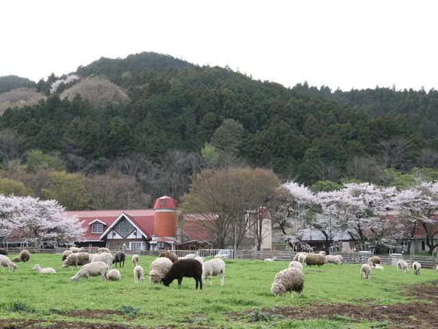 �����q��܂ł͎Ԃ�10���B���R�̒��œ��������ƐG�ꍇ���܂��B_�z���܂�_��