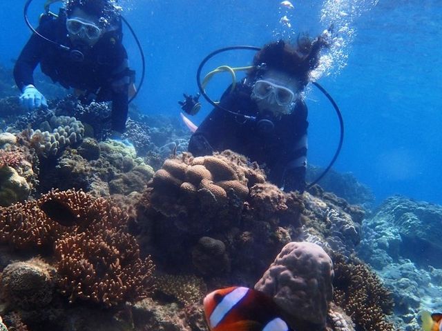 jł݂̃N}m~BfŌAł_RY~bNA[X