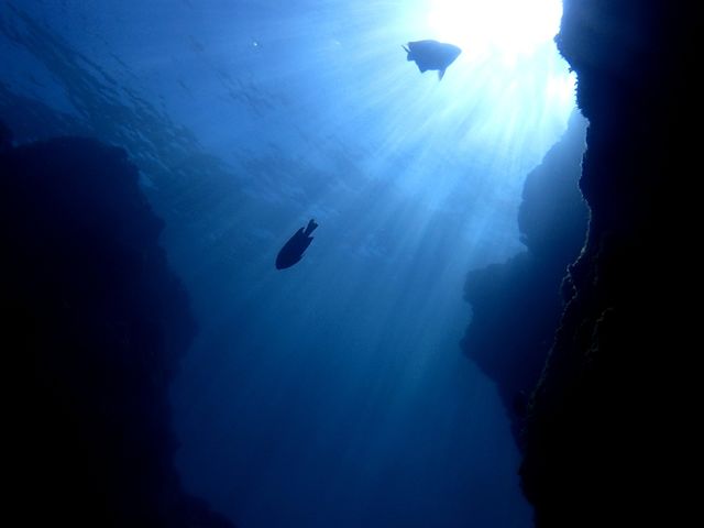 C̒ꂩ瑾zグƁAƂĂYȂłI_RY~bNA[X