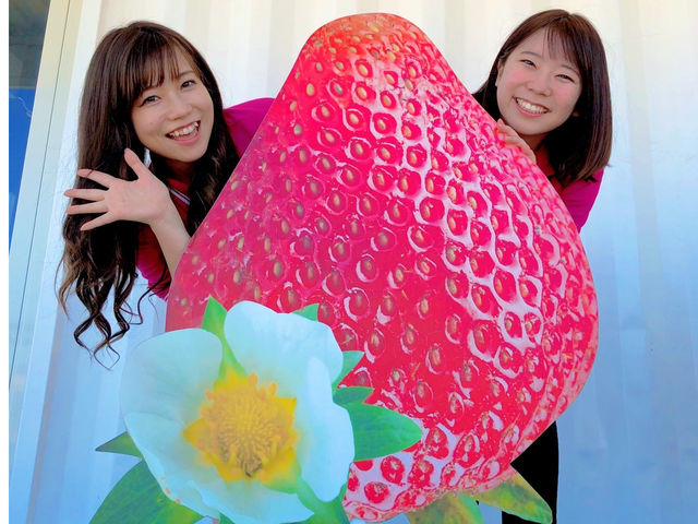 �傫���C�`�S�I���F�B�ƎB���Ă݂āI_�������t�@�[�������