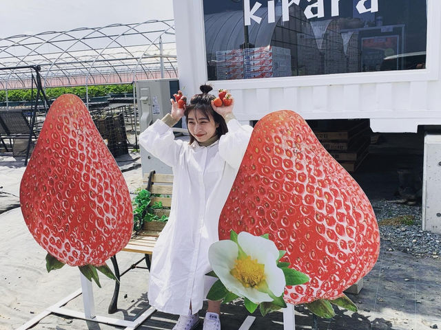 �C�`�S�������ăp�V�����I_�������t�@�[�������