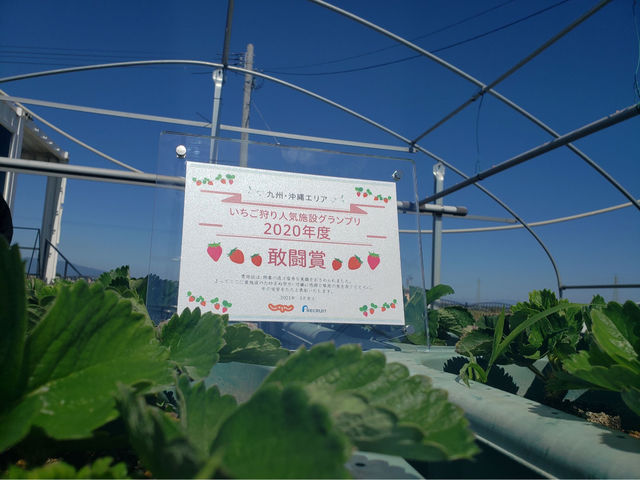 ���������l�C�{�݃O�����v���y�����܁z_�������t�@�[�������