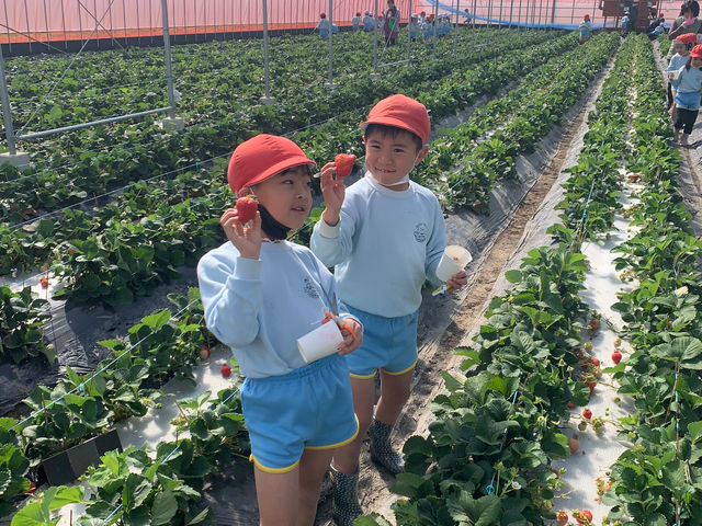 �q�ǂ������ł��y�������c_�������t�@�[�������