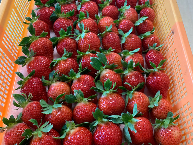 �Ԃ��I�ۂ��I���������I���܂��I♡_�������t�@�[�������