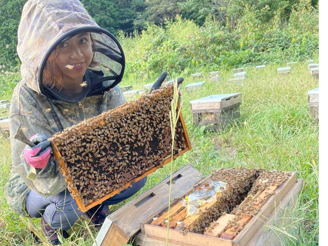 �I�ɂ��������܂�_�������t�@�[�������