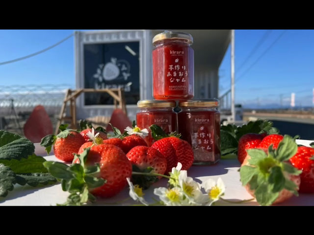 ���܂����W�������l�C�ł���_�������t�@�[�������