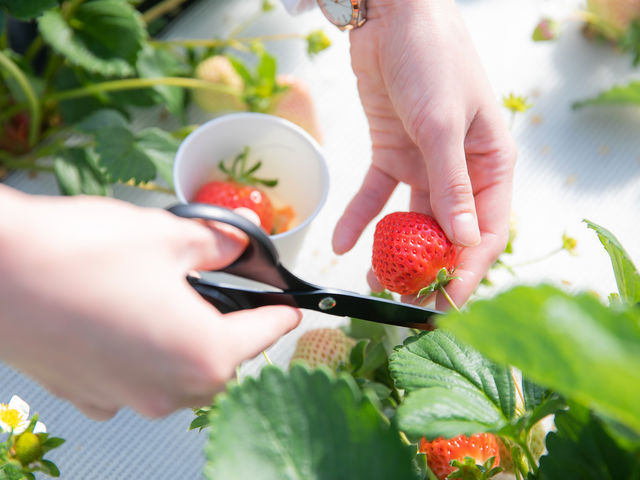 �����������Ȃ�������I��łˁ�_�������t�@�[�������