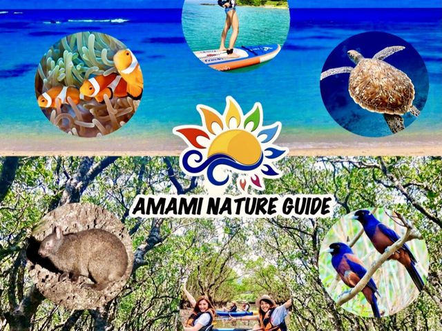 �����l�C�`���[�K�C�h�ł̓c�A�[��g�ݍ��킹�\�I���V���m�[�P�����O���}���O���[�u�J�k�[�����i�C�g�c�A�[���łP�����i�ł��܂���I_�����l�C�`���[�K�C�h�E�V���m�[�P�����O�E�J�k�[�E�i�C�g�c�A�[