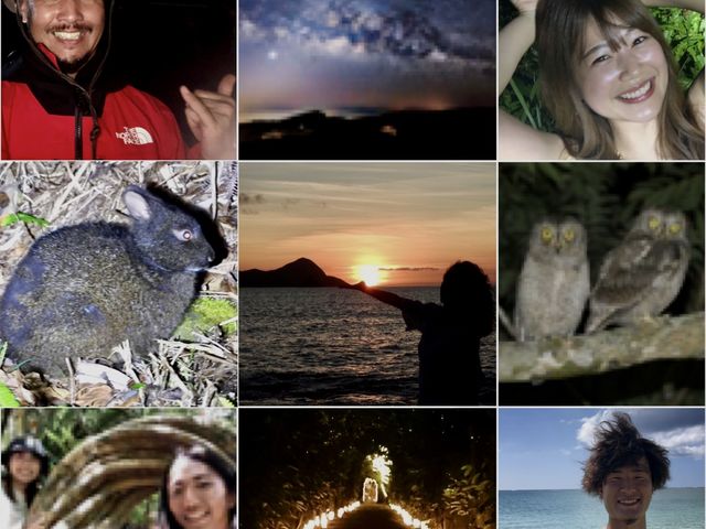 ���_��̐X�̃N���E�T�M�i�C�g�c�A�[�E������100�����͖��V�̐���̉���̌����т�`���I���}���`�b�b�N�Ȏv���o���I_�����l�C�`���[�K�C�h�E�V���m�[�P�����O�E�J�k�[�E�i�C�g�c�A�[