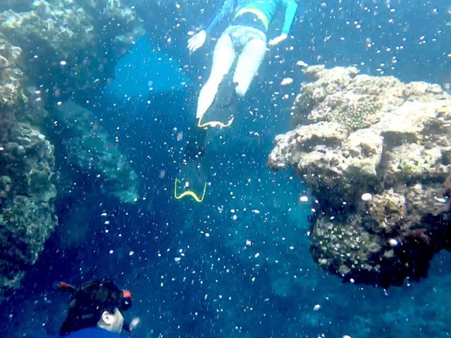 ��������1�Ԕ������y���C�݁I�̓��A�V���m�[�P�����O�c�A�[���͓��Ђ����̃I���W�i���c�A�[�I_�����l�C�`���[�K�C�h�E�V���m�[�P�����O�E�J�k�[�E�i�C�g�c�A�[