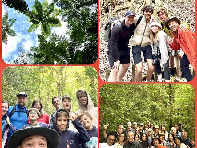 Foreign guests are https://amami-natureguide.com/intl/
_�����l�C�`���[�K�C�h�E�V���m�[�P�����O�E�J�k�[�E�i�C�g�c�A�[