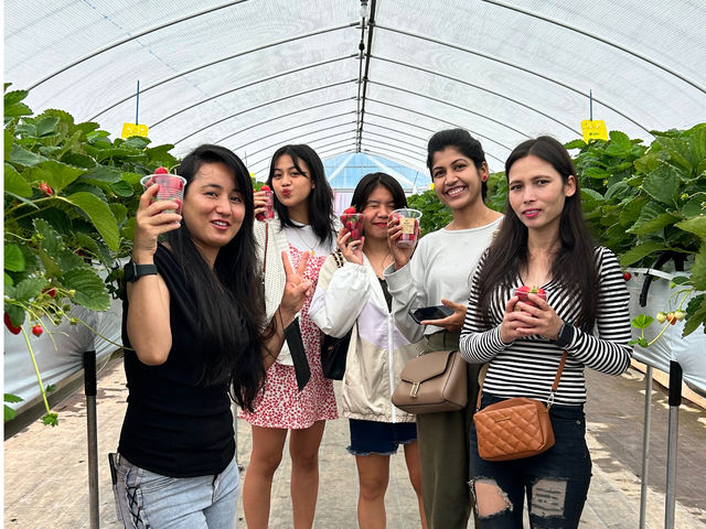 Mt�DBerry�@������