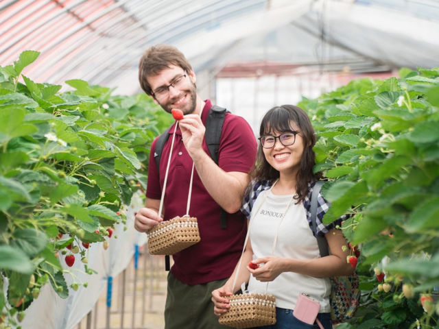 Mt�DBerry�@������