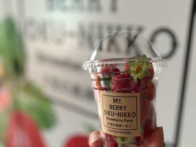 Mt�DBerry�@������