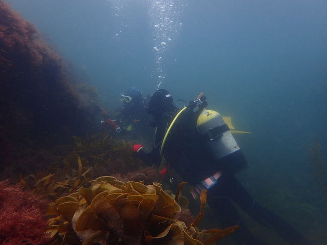 ���u�E�A���n�E�V�[