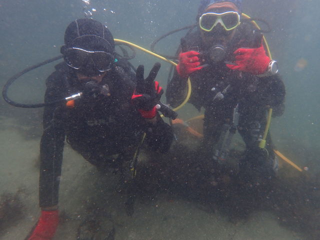 ���u�E�A���n�E�V�[