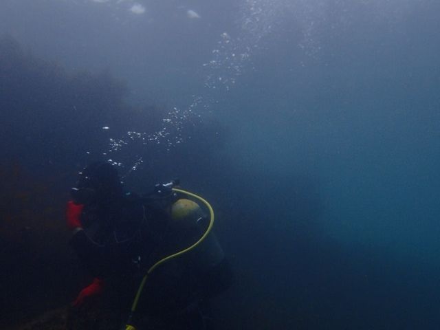 ���u�E�A���n�E�V�[