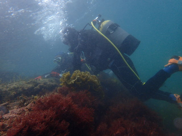 ���u�E�A���n�E�V�[