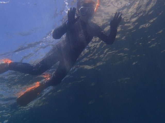 ���u�E�A���n�E�V�[