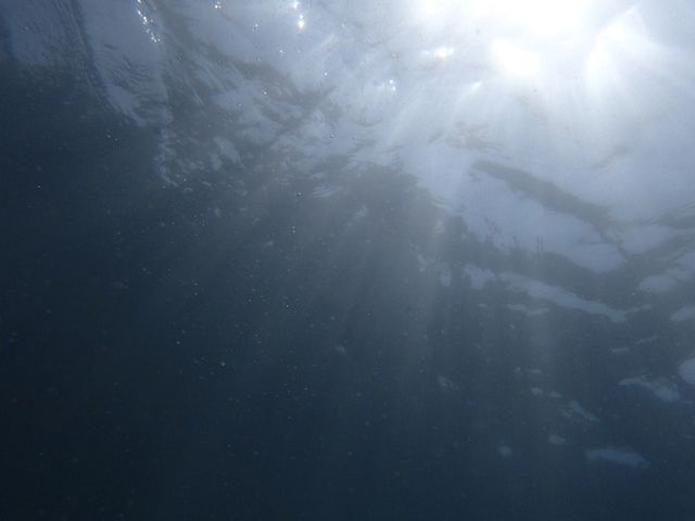 ���u�E�A���n�E�V�[