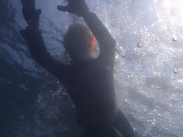 ���u�E�A���n�E�V�[