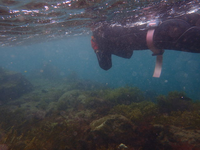 ���u�E�A���n�E�V�[