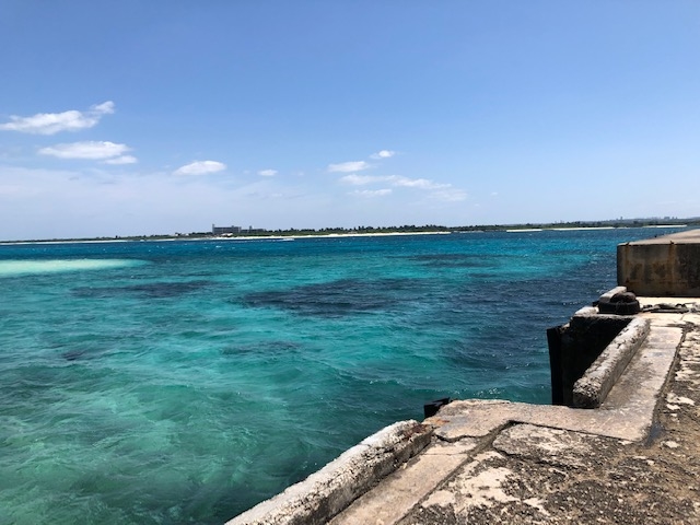 �_�C�r���OCRAB